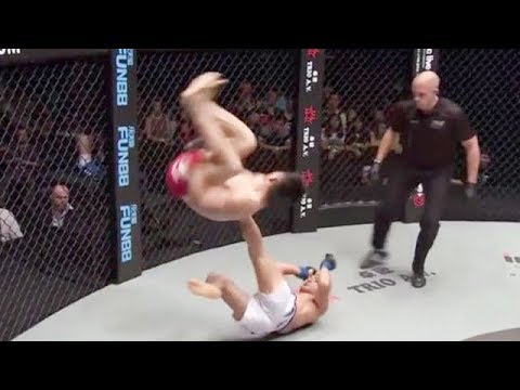 WTF Moments in MMA
